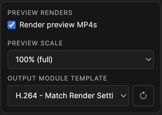 Preview render options